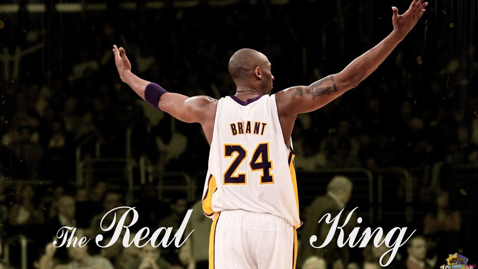 詹姆斯带伤坚持比赛打动全场球迷，詹姆斯有伤吗